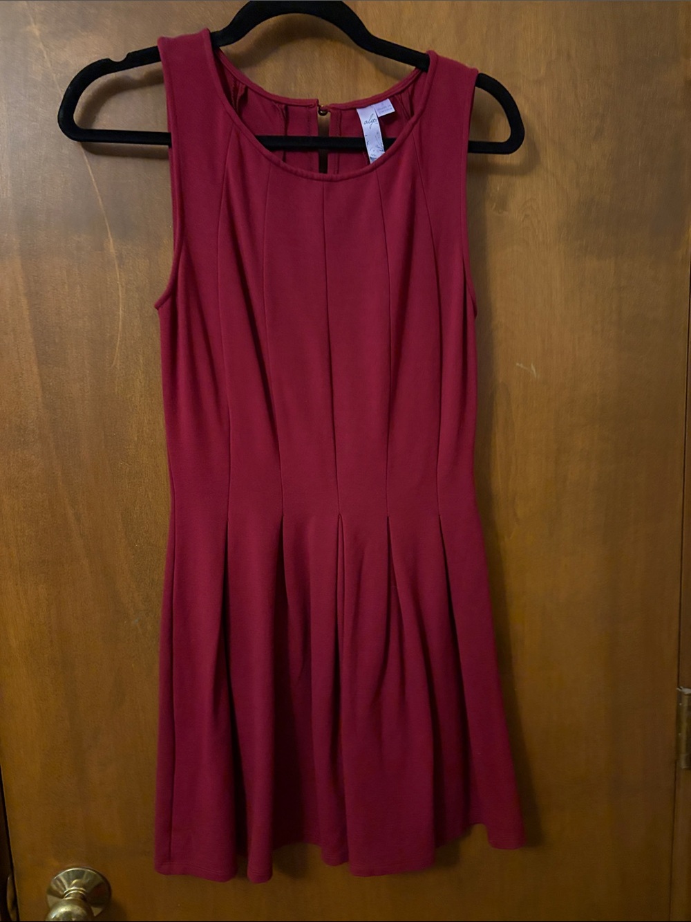 Alya Sleeveless Fit-and-Flare Mini Dress in Burgundy
